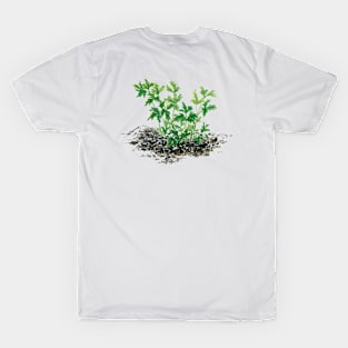 October 8th birthday flower T-Shirt